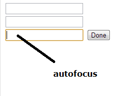 autofocus-html5-form
